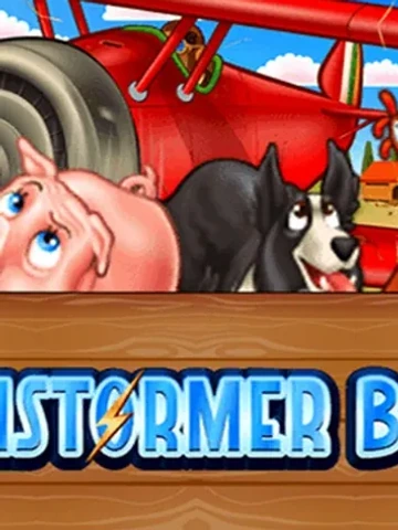 Barnstormer Bucks